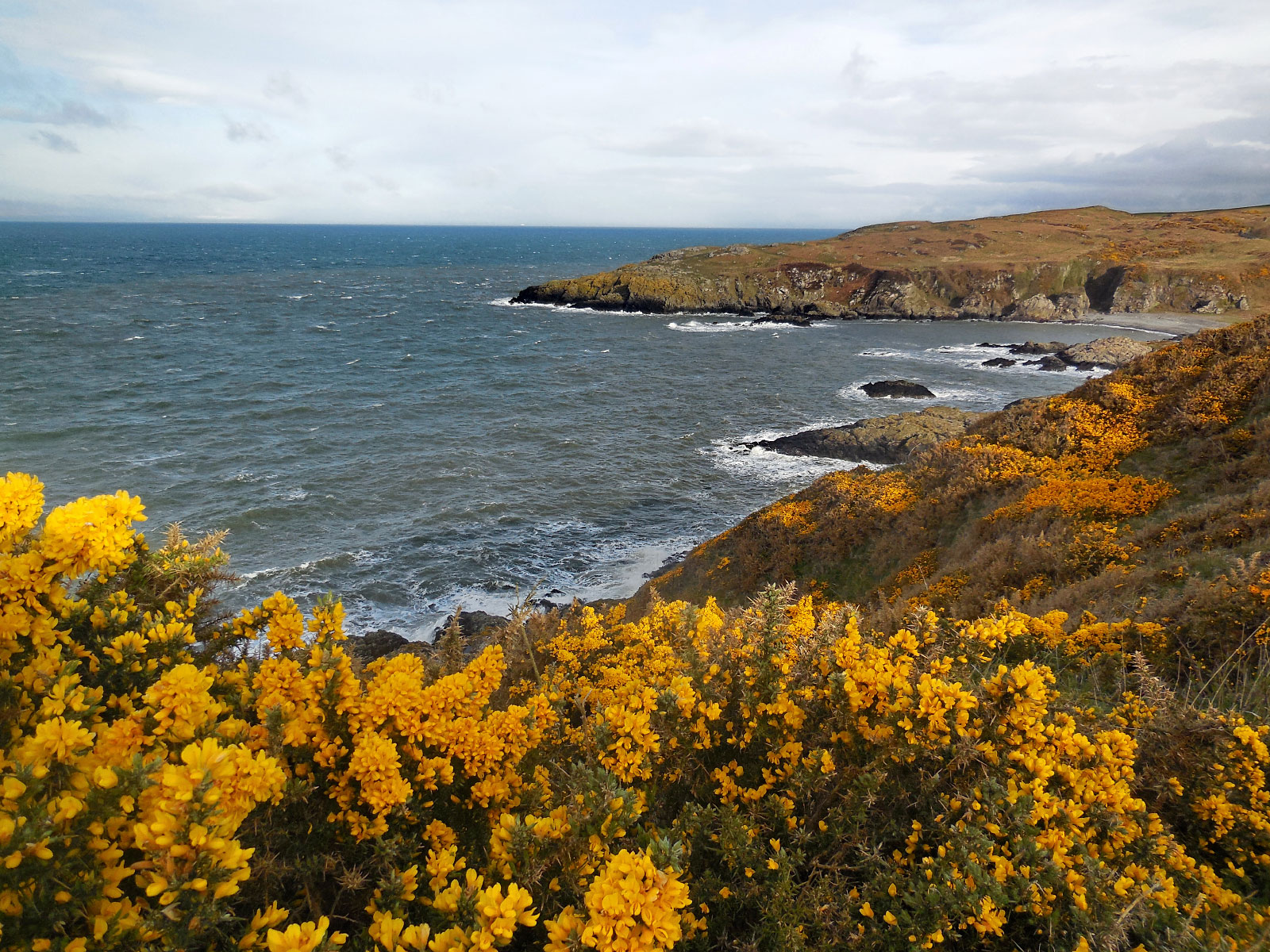 MaidenhedBay, Stranraer